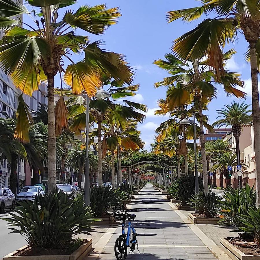 Apartamento Bien Situado - Buenas Conexiones Santa Cruz de Tenerife Eksteriør bilde
