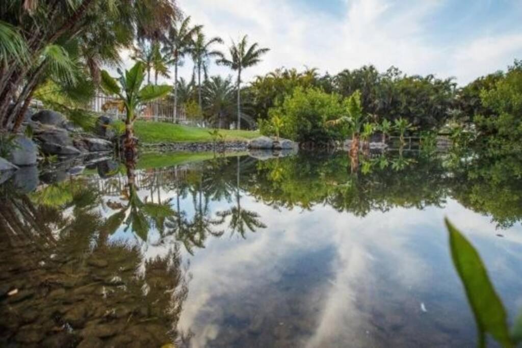 Apartamento Bien Situado - Buenas Conexiones Santa Cruz de Tenerife Eksteriør bilde