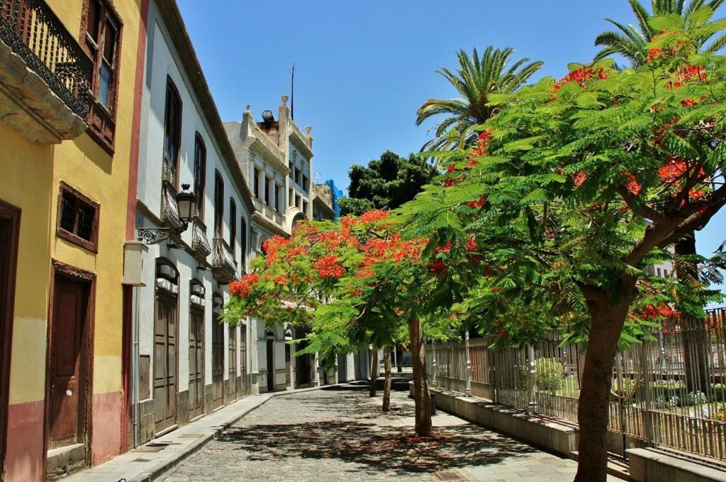 Apartamento Bien Situado - Buenas Conexiones Santa Cruz de Tenerife Eksteriør bilde