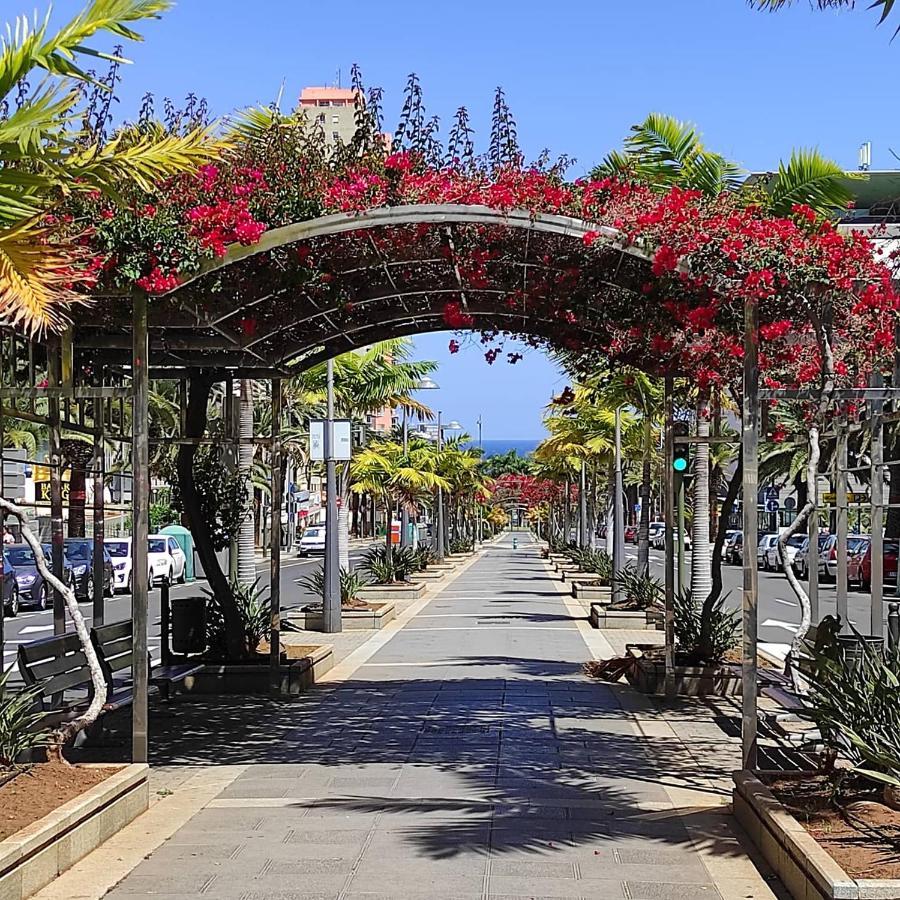 Apartamento Bien Situado - Buenas Conexiones Santa Cruz de Tenerife Eksteriør bilde